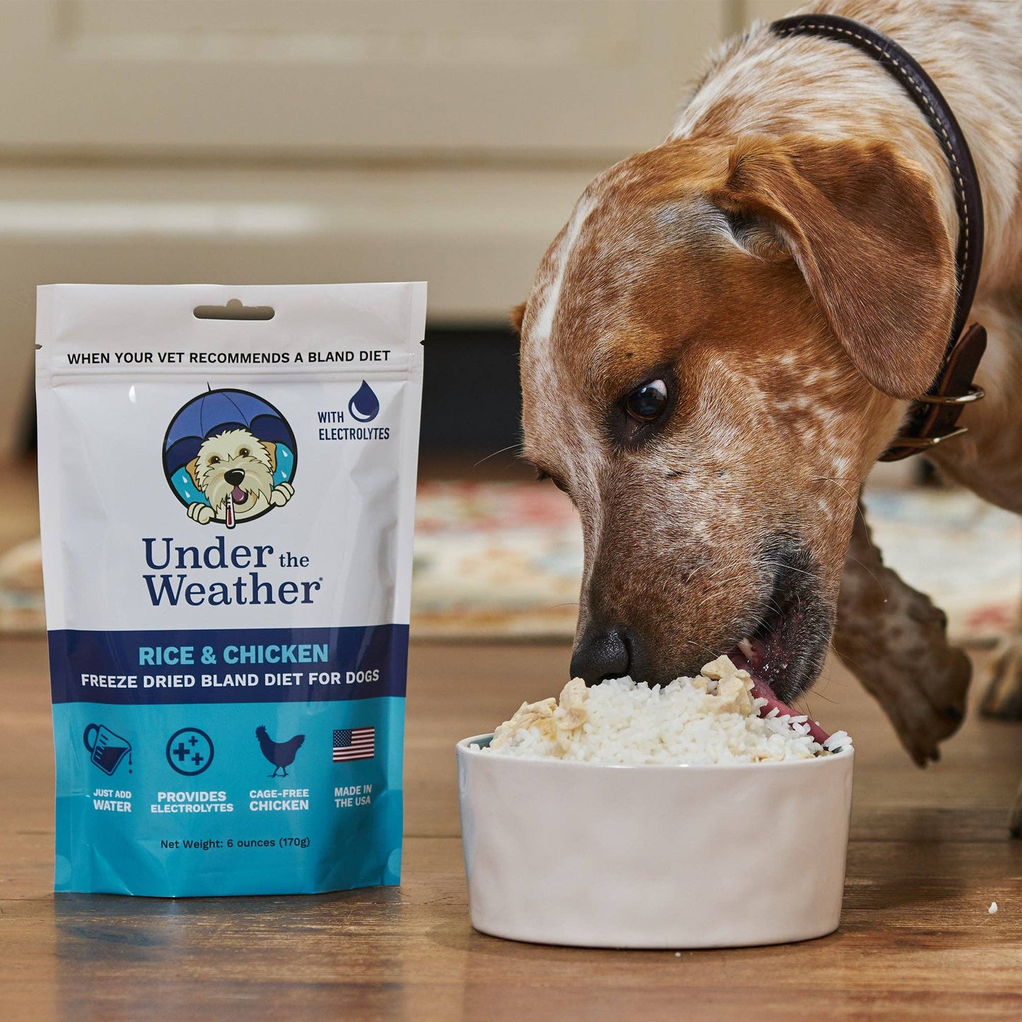 Chicken & Rice Bland Diet For Dogs