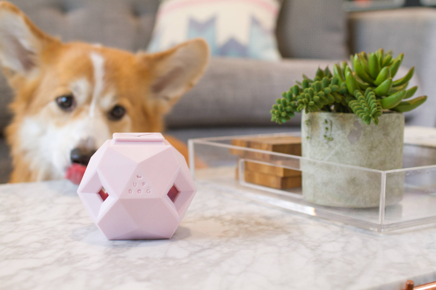 Modern Interactive Dog Puzzle Toy - The Odin (6 unit / case)