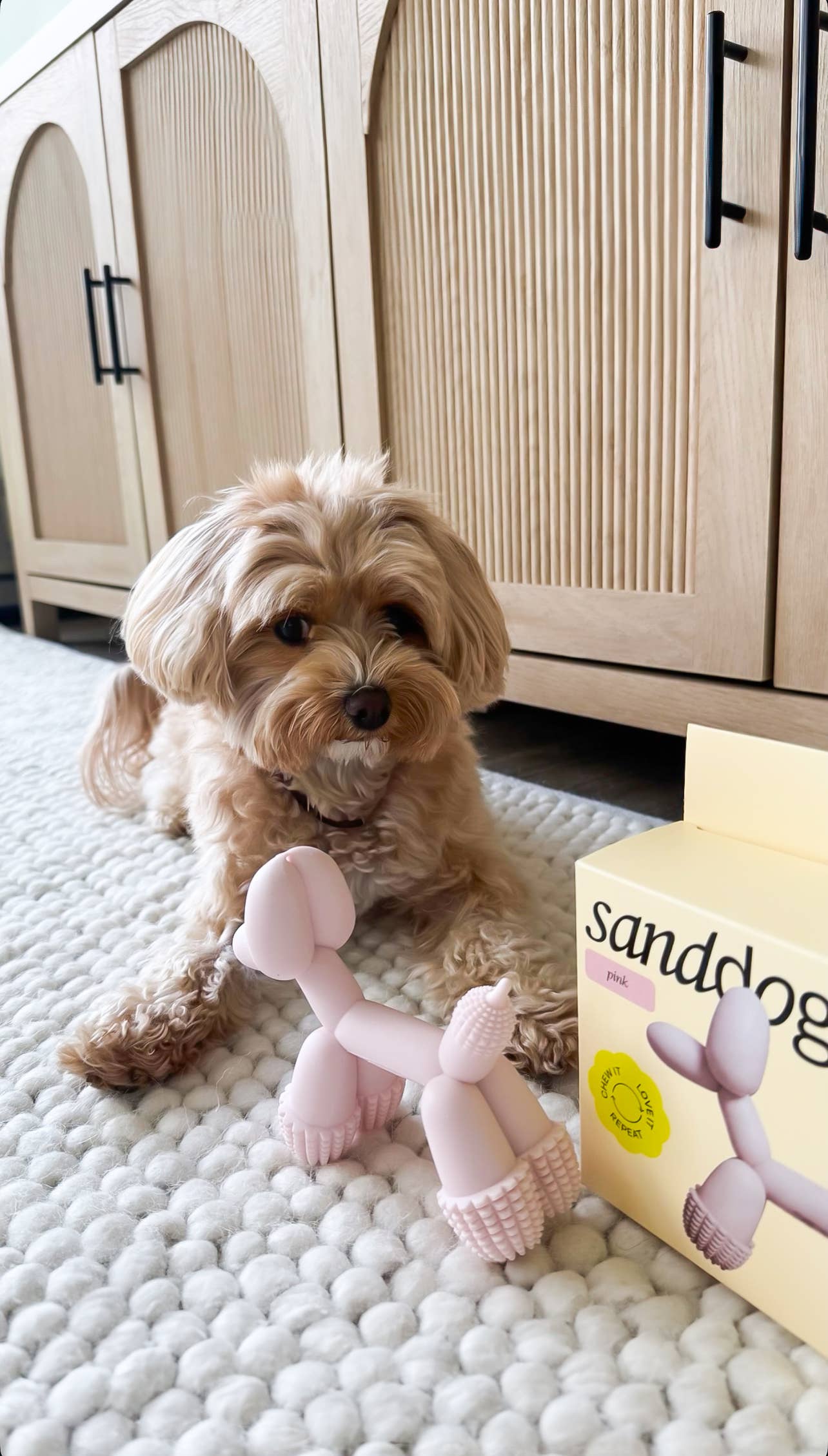 ART BALLOON DOG TOY - PINK