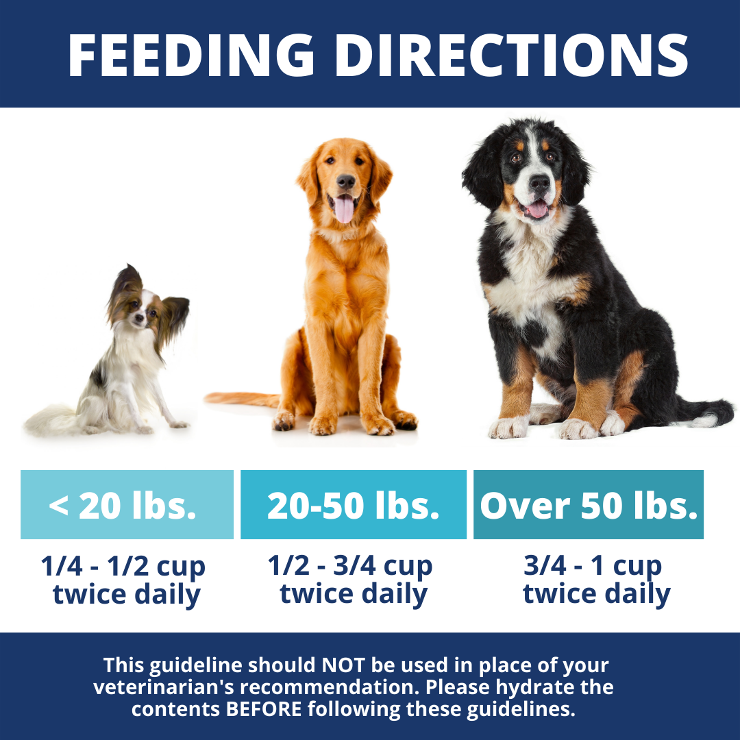 Chicken & Rice Bland Diet For Dogs