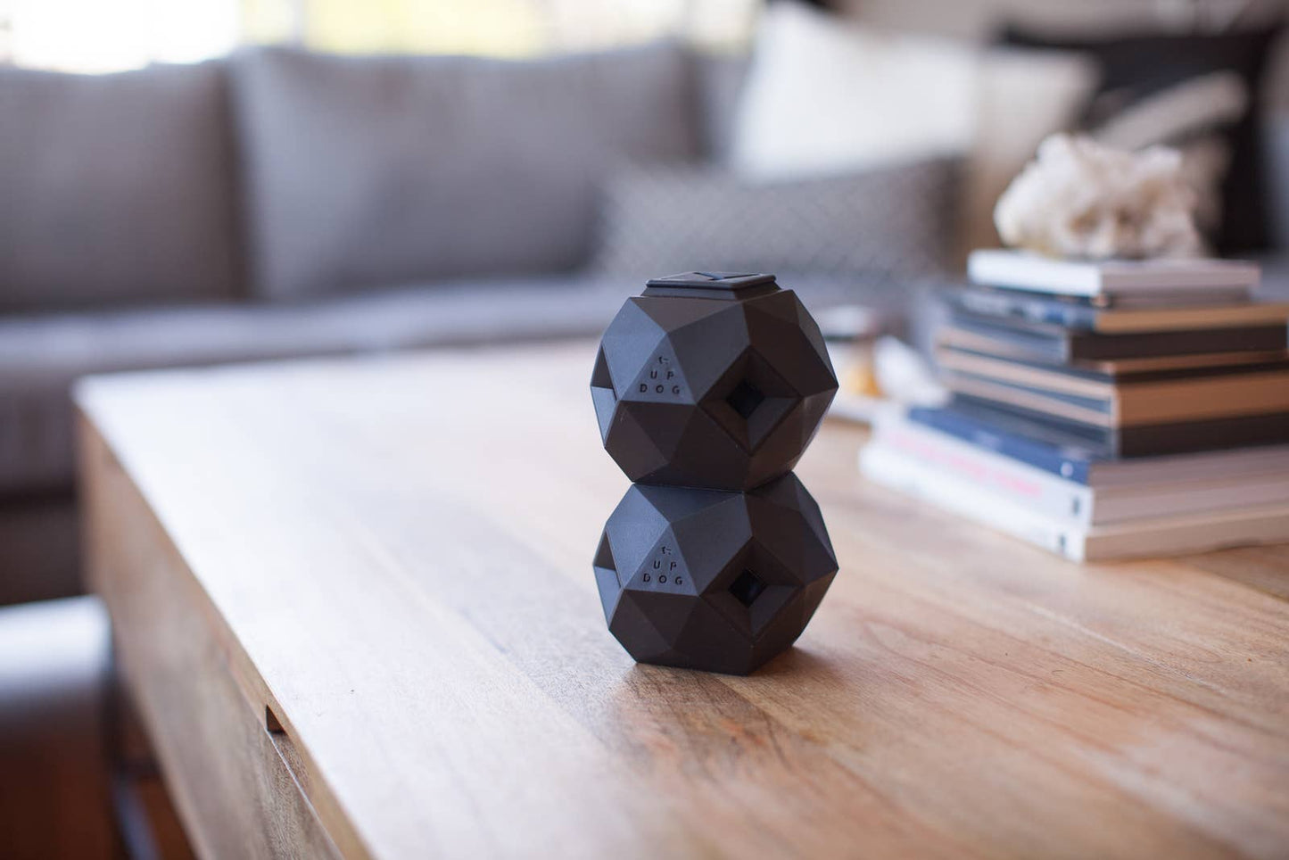 Modern Interactive Dog Puzzle Toy - The Odin (6 unit / case)