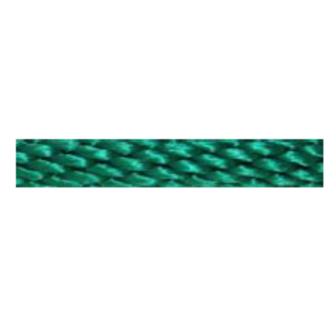 Snap Leash