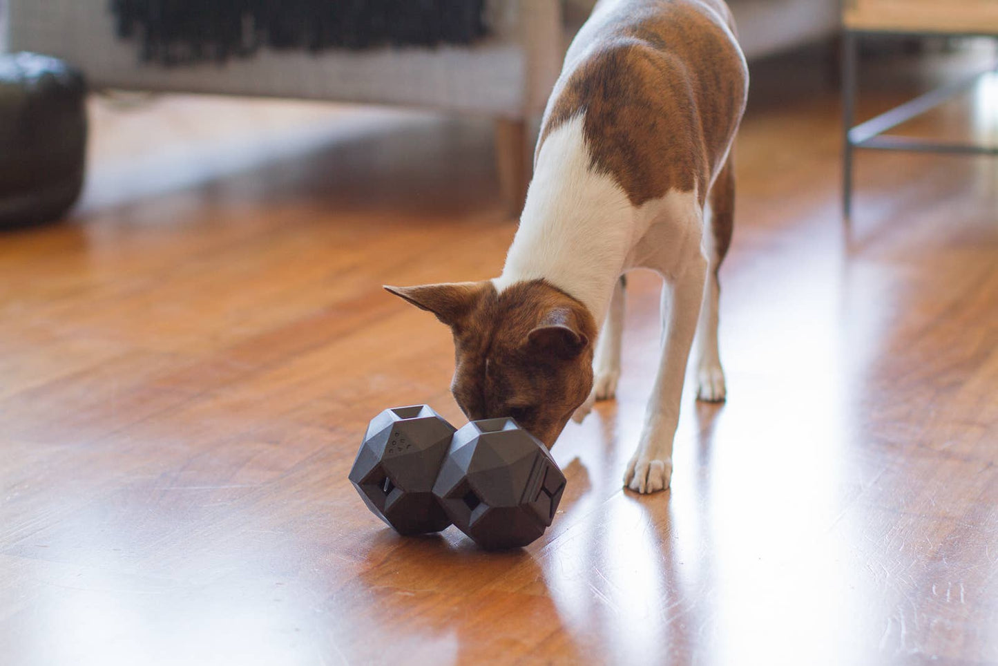 Modern Interactive Dog Puzzle Toy - The Odin (6 unit / case)